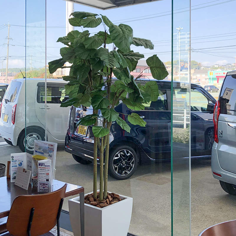 ディスプレイ01