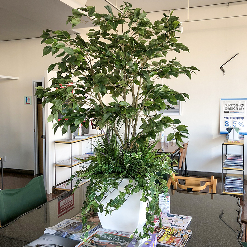 ディスプレイ02