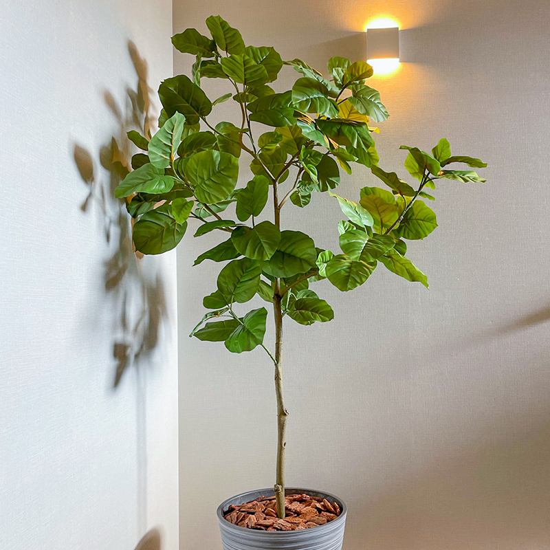 ディスプレイ04