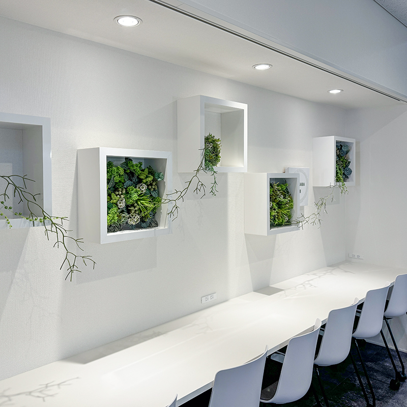 ディスプレイ10