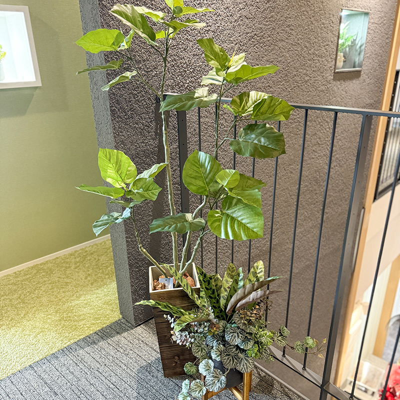 ディスプレイ11